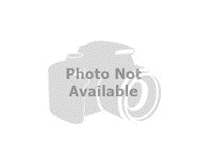 How to get your credit score up quick